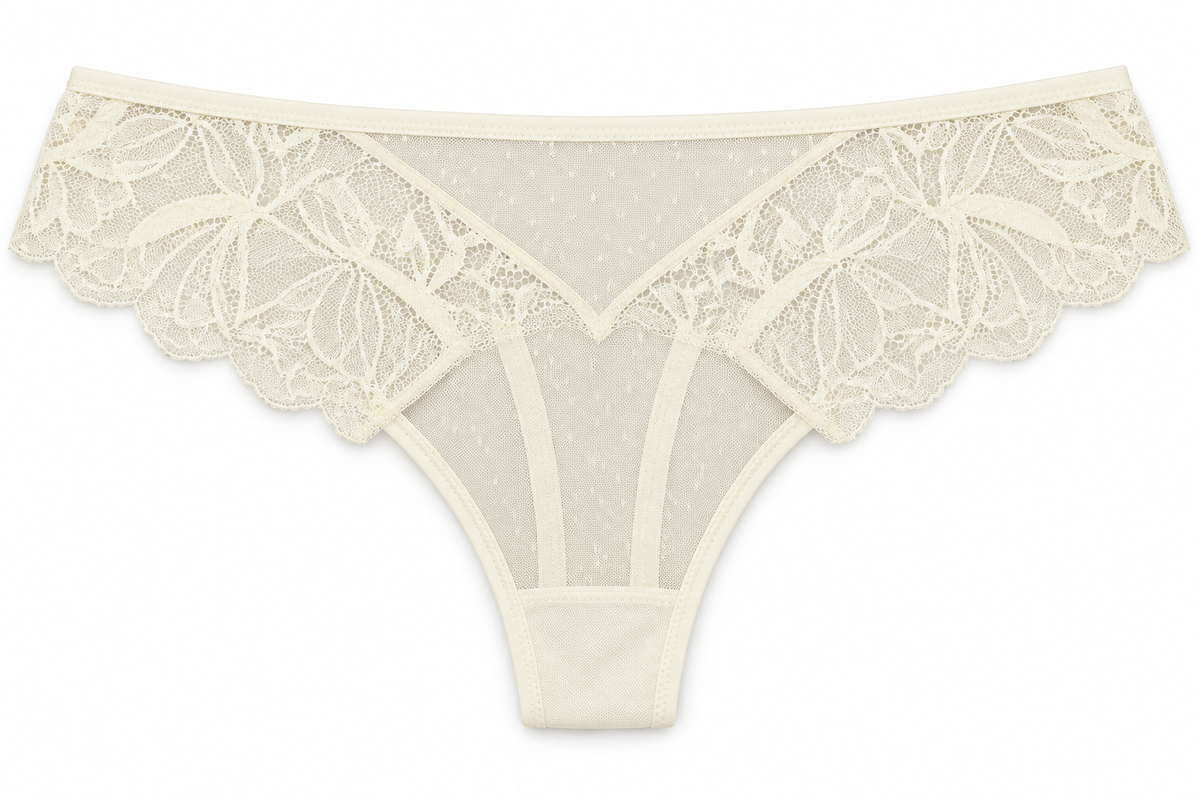 Panty Femenino de Corte Brasilero Dama Pecado Dulce En Maya Y Encaje