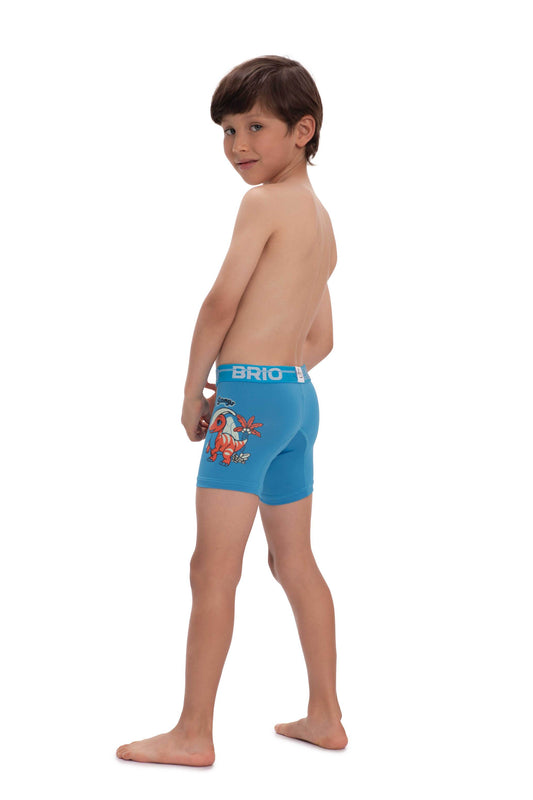 Bóxer Brio Niño En Microfibra Con Estampado En Pierna