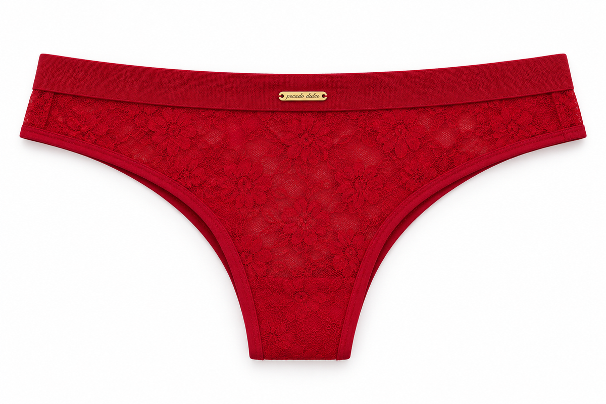 Panty Femenino de Corte Brasilero Dama Pecado Dulce Fondo Entero Microfibra Y Blonda
