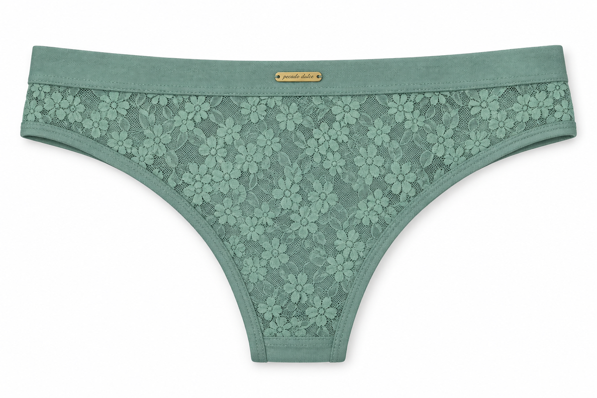 Panty Femenino de Corte Brasilero Dama Pecado Dulce Fondo Entero Microfibra Y Blonda